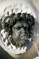 fontana anconetana