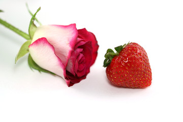 strawberry rose