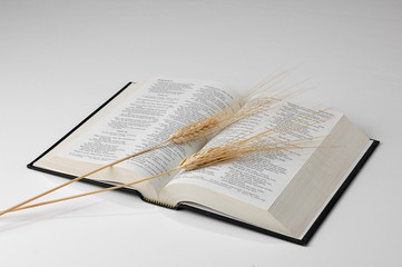 bible and wheat on neutral background