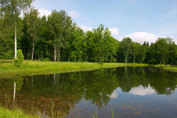 pond mirror