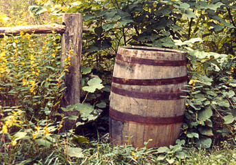 rain barrel