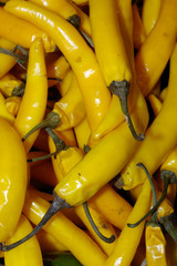 yellow chillies 01