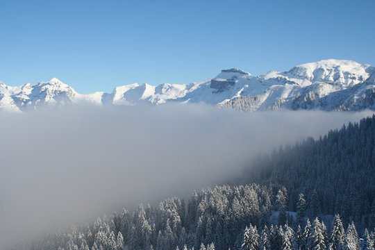 au desous des traces