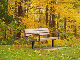 bench in a  park