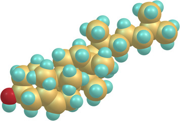molecule of cholesterol