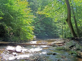 ricketts glen stream