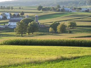 farm2