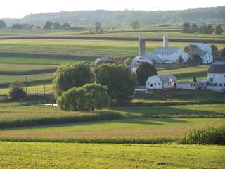 farm