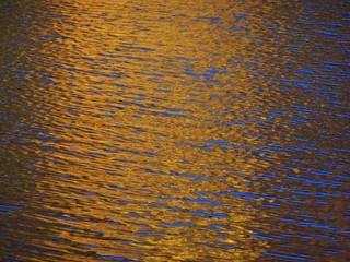 lake reflection