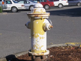 Fototapeta na wymiar żółty hydrant