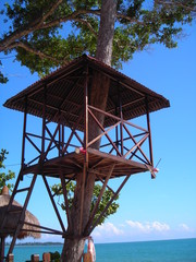 tree house found in desaru, malaysia