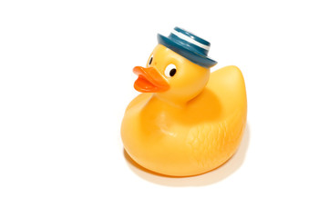 duck