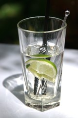 vodka and lime