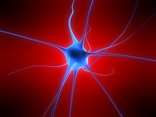 neuronen