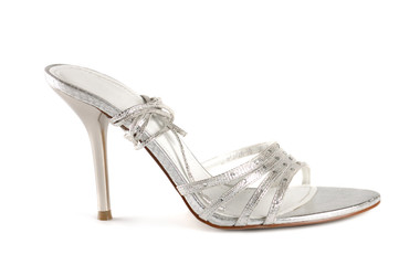 silver shoe
