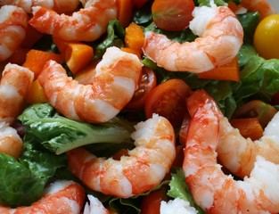 shrimp salad