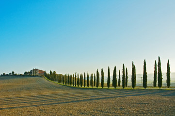 Obraz premium tuscan landscape
