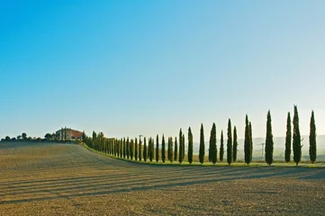 Fotobehang toscaanse landschap © javarman