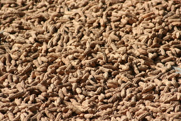 peanut texture