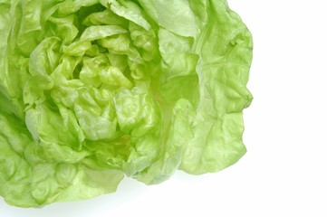 lettuce