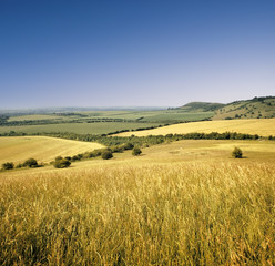 Fototapeta na wymiar zobacz całej niwa krajobrazu rolniczego