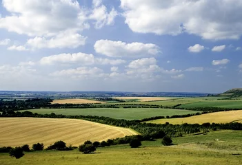 Foto op Canvas rolling english countryside the chilterns buckingh © david hughes