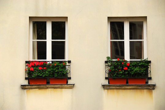 windows with planters