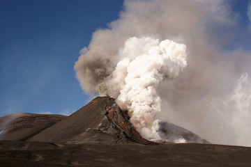 attività parossistica