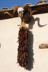 hanging chili peppers