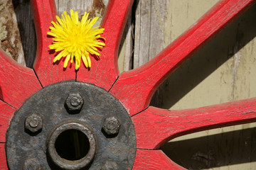 Obraz na płótnie Canvas red wheel