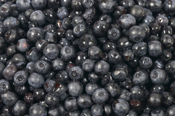 bilberries