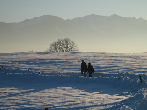 a walk in winter landscape with mountain backdrop