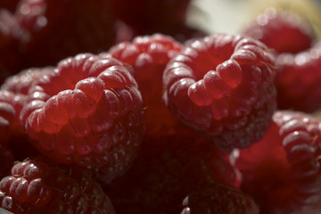 raspberry