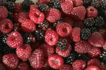 raspberries and blackberries