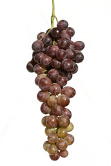 bunch of grapes