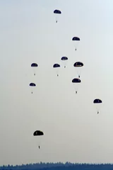 Wandaufkleber skydivers © Olga D. van de Veer