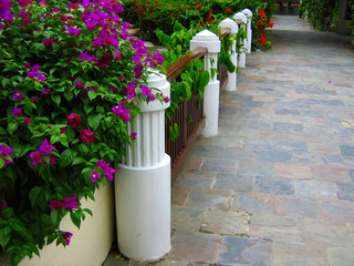 tropical garden walkway and fence