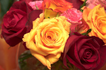 wedding roses arranged in variety of color