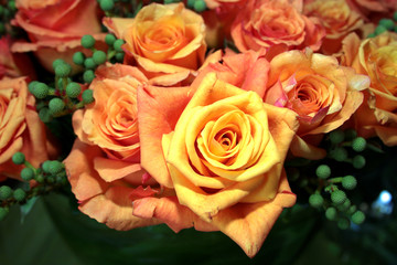 digital lines and shapes