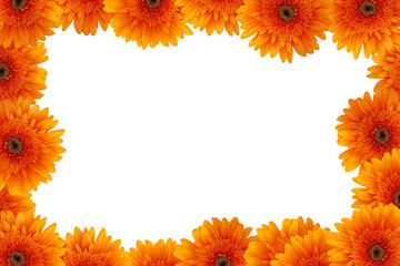 orange daisy frame