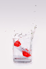 fresh splash