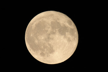 Obraz premium full moon