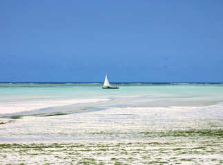 spiaggia zanzibar con barca a vela