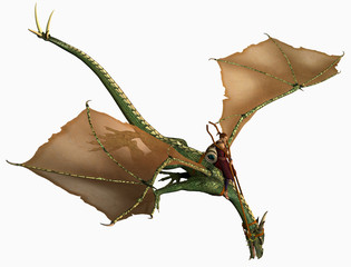 Fototapeta premium dragon and rider flying dive