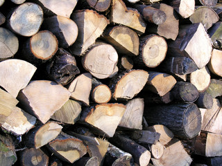 tas de bois