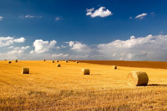 feld iii
