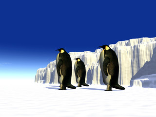 penguins 14