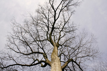 view from the bottom