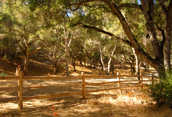 fence along a road in the carmel valley of california