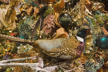 pheasant camoflaged in tree